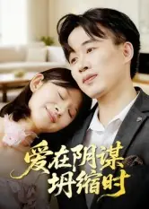 归路剧情简介封面图